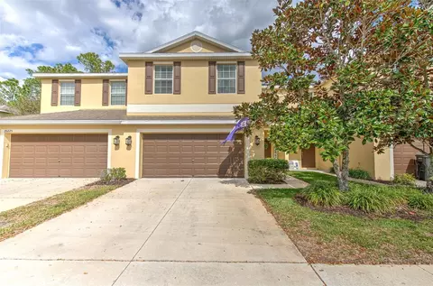 20223 Indian Rosewood Dr, Tampa, FL 33647