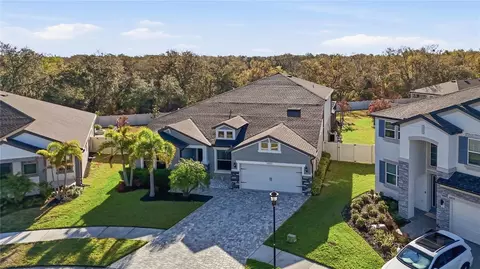 10731 Green Harvest Dr, Riverview, FL 33578