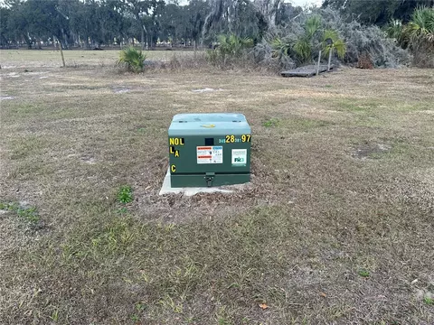 9988 Bryant Rd, Lithia, FL 33547 photo 8