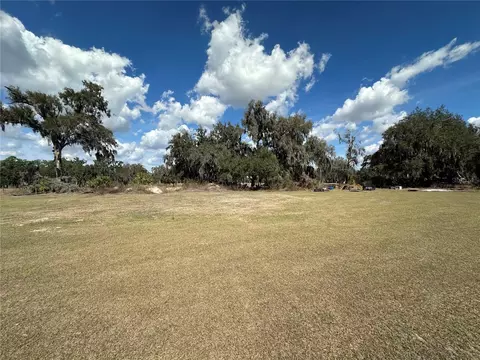 9988 Bryant Rd, Lithia, FL 33547 photo 9