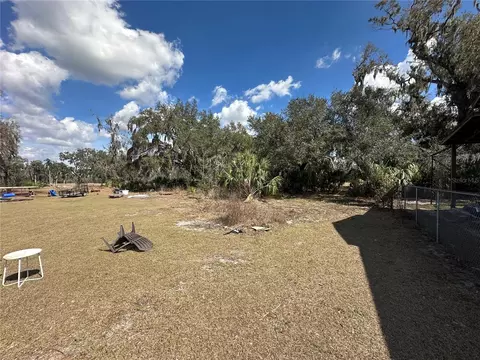 9988 Bryant Rd, Lithia, FL 33547 photo 6