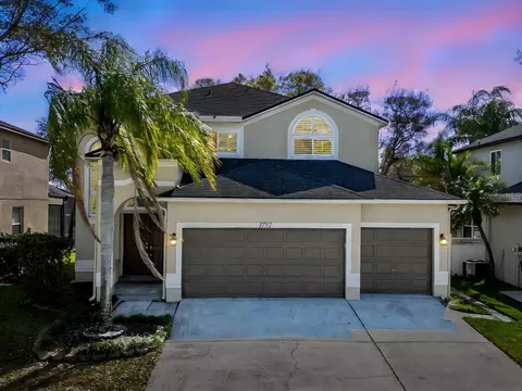 1732 Split Fork Dr, Oldsmar, FL 34677