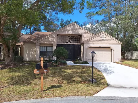 Undisclosed, Spring Hill, FL 34606