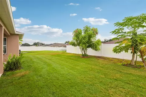 Exterior - 4248 Moon Shadow Loop, Mulberry, FL 33860 photo 3 of 6
