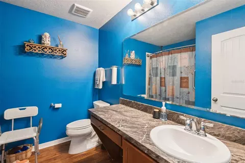 Bath - 4248 Moon Shadow Loop, Mulberry, FL 33860 photo 3 of 5