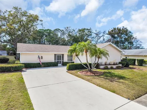 3132 Brunswick Cir, Palm Harbor, FL 34684