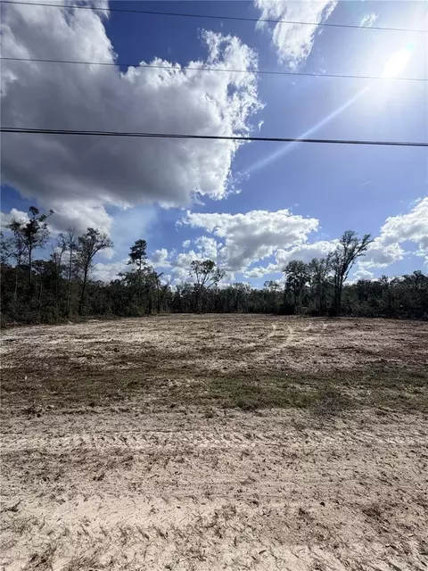 163 NE 159th Ave, Old Town, FL 32680