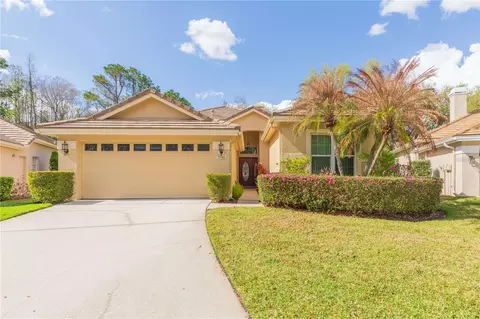 17746 Nathans Dr, Tampa, FL 33647