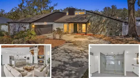 3033 Wister Cir, Valrico, FL 33596