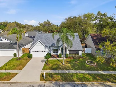 1908 River Crossing Dr, Valrico, FL 33596