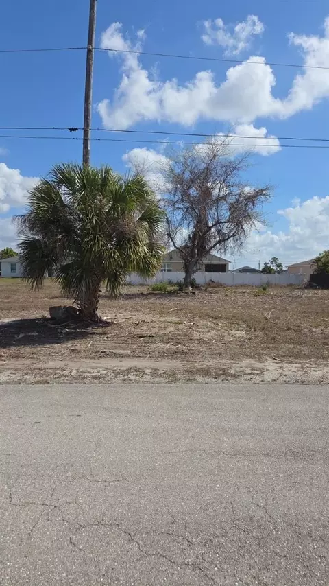 3029 NE Juanita Pl NE, Cape Coral, FL 33909