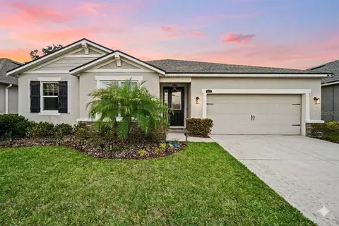 11406 Blue Woods Dr, Riverview, FL 33569