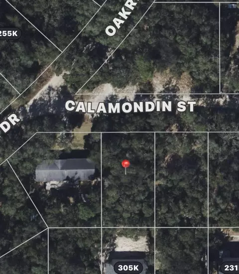 Calamondin St, Lady Lake, FL 32159