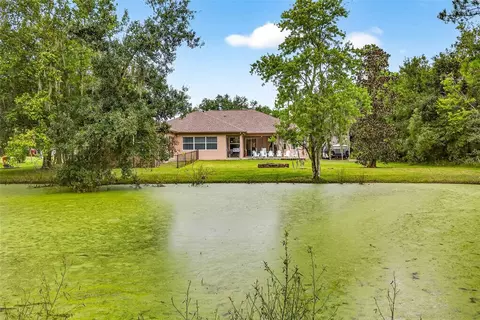 Exterior - 13887 Gavin Rd, Dover, FL 33527 photo 9 of 10