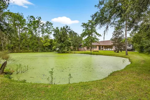 Exterior - 13887 Gavin Rd, Dover, FL 33527 photo 8 of 10