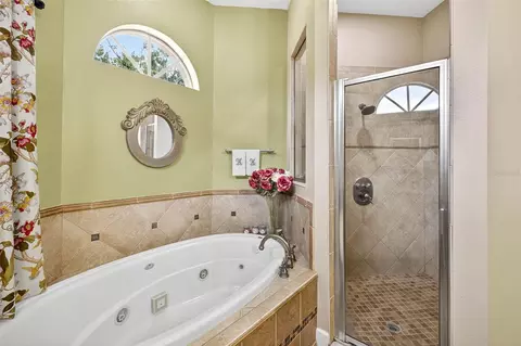 Bath - 13887 Gavin Rd, Dover, FL 33527 photo 4 of 8