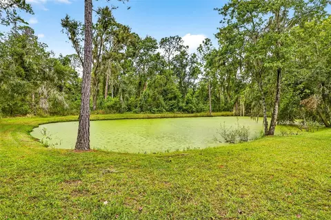 Other - 13887 Gavin Rd, Dover, FL 33527 photo 21 of 21