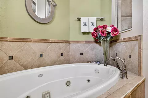 Bath - 13887 Gavin Rd, Dover, FL 33527 photo 5 of 8