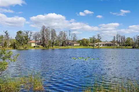 18709 Wayne Rd, Odessa, FL 33556