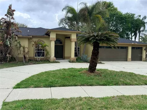 17414 Equestrian Trl, Odessa, FL 33556