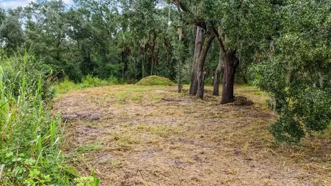 3106 Timberlee Rd, Wimauma, FL 33598 photo 6