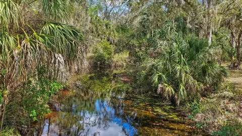 3106 Timberlee Rd, Wimauma, FL 33598 photo 36