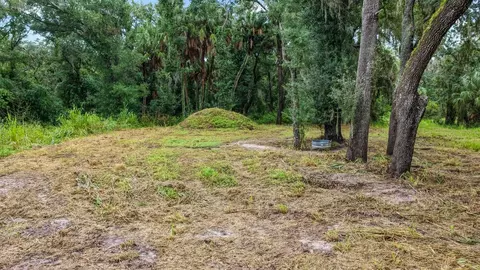 3106 Timberlee Rd, Wimauma, FL 33598 photo 9