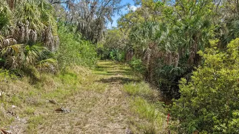 3106 Timberlee Rd, Wimauma, FL 33598 photo 38