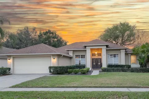 3503 Autumn Glen Dr, Valrico, FL 33596