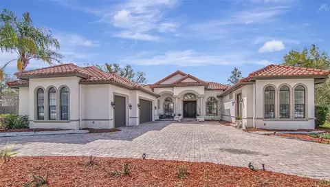 1022 Emerald Creek Dr, Valrico, FL 33596