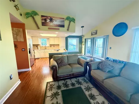 Living - 3338 Fernleaf Dr, Hernando Beach, FL 34607 photo 4 of 7