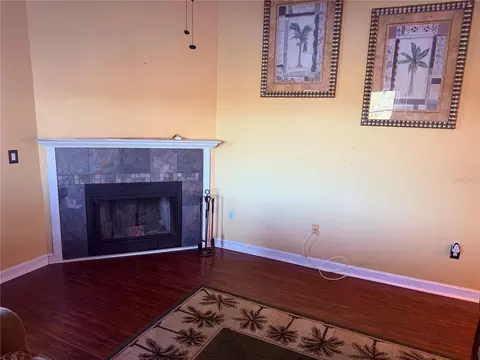 Living - 3338 Fernleaf Dr, Hernando Beach, FL 34607 photo 2 of 7