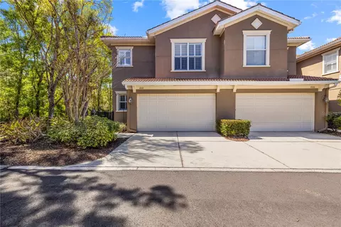 4926 Anniston Cir, Tampa, FL 33647