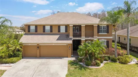 3726 Duke Firth St, Land O Lakes, FL 34638