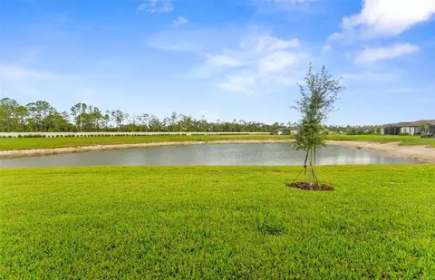 View/Area - 16739 Harvest Leaf Rd, Spring Hill, FL 34610 photo 1 of 14