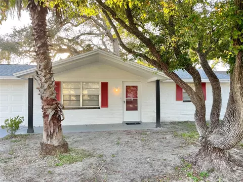 11205 Yewtree Ave, Port Richey, FL 34668
