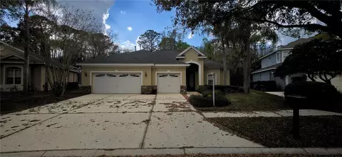 6041 Catlin Dr, Tampa, FL 33647