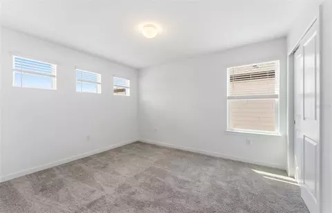 Other - 16829 Harmony River Ln, Parrish, FL 34219 photo 15 of 19