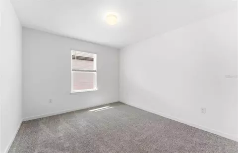 Other - 16829 Harmony River Ln, Parrish, FL 34219 photo 13 of 19
