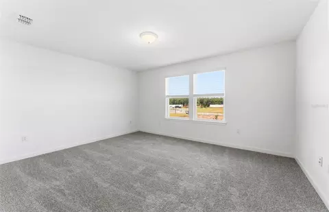 Other - 16829 Harmony River Ln, Parrish, FL 34219 photo 9 of 19