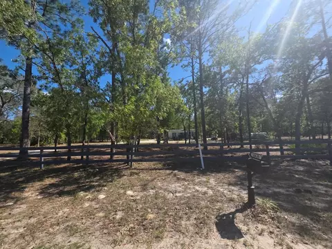 10630 NE 80th St, Bronson, FL 32621 photo 19