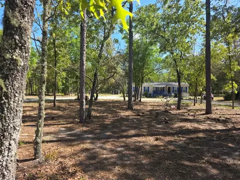 10630 NE 80th St, Bronson, FL 32621 photo 3