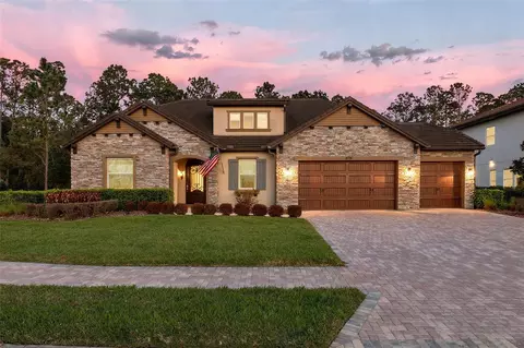 29256 Picana Ln, Wesley Chapel, FL 33543
