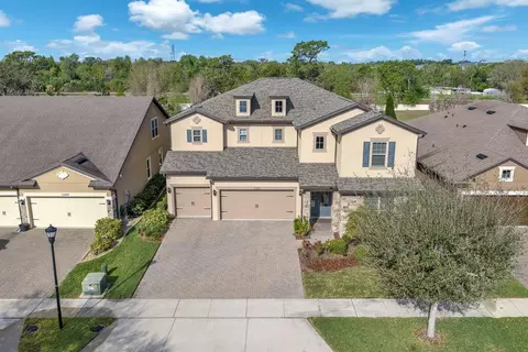 View/Area - 10407 Tree Skylark Pl, Riverview, FL 33569 photo 4 of 4