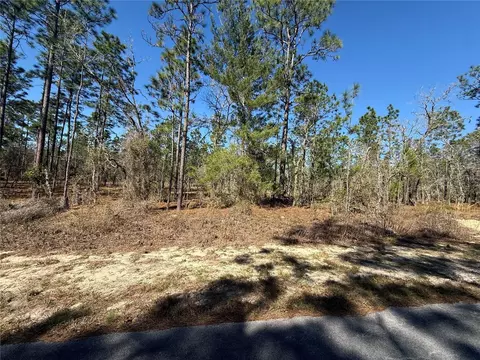 lot5 SE 130 Ct, Dunnellon, FL 34431