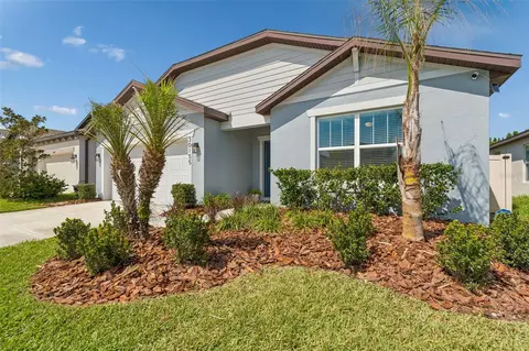 30155 Merilee Pl, Wesley Chapel, FL 33545