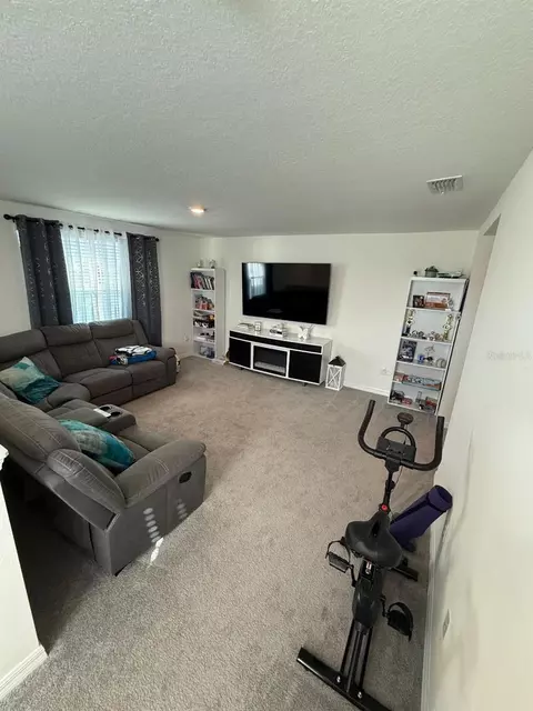 Living - 10662 Chippewa Dr, Parrish, FL 34219 photo 4 of 4