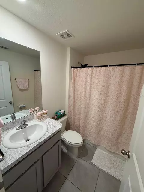 Bath - 10662 Chippewa Dr, Parrish, FL 34219 photo 3 of 5
