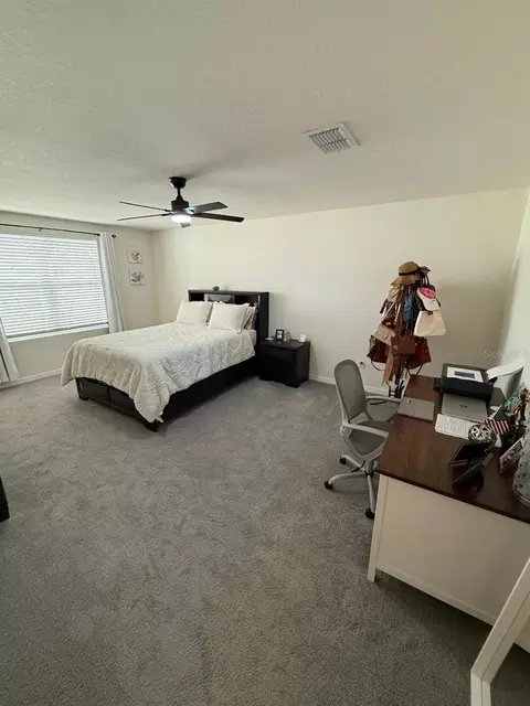 Other - 10662 Chippewa Dr, Parrish, FL 34219 photo 3 of 5