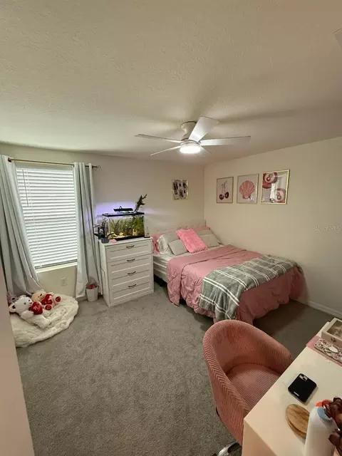 Bedroom - 10662 Chippewa Dr, Parrish, FL 34219 photo 2 of 4